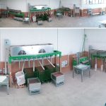 IMPIANTI DI SGUSCIATURA NOCCIOLE COMPLETI - 4