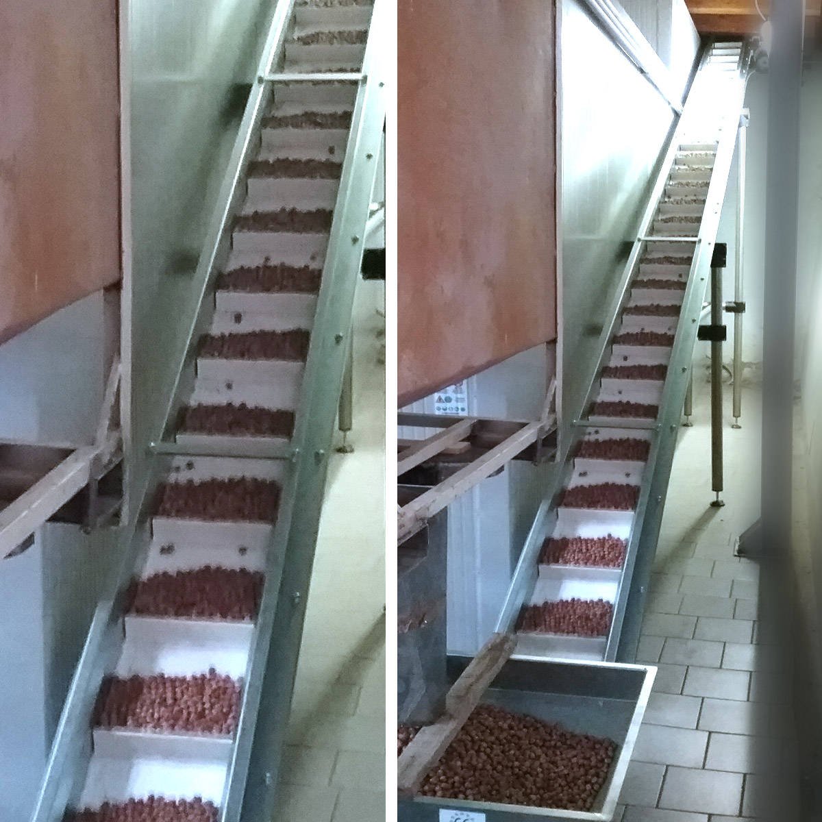 Strip Conveyor Belt - Image 3